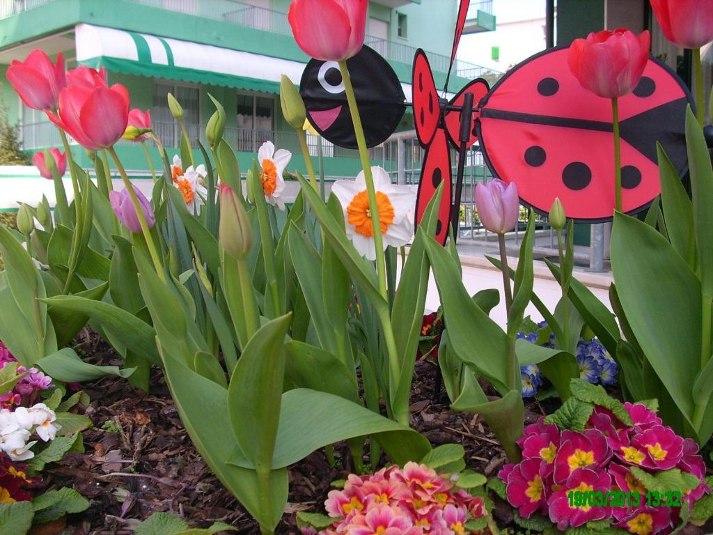 Hotel Colorado Lido di Jesolo